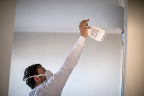 Best Commercial Mold Removal  in Gerald, MO