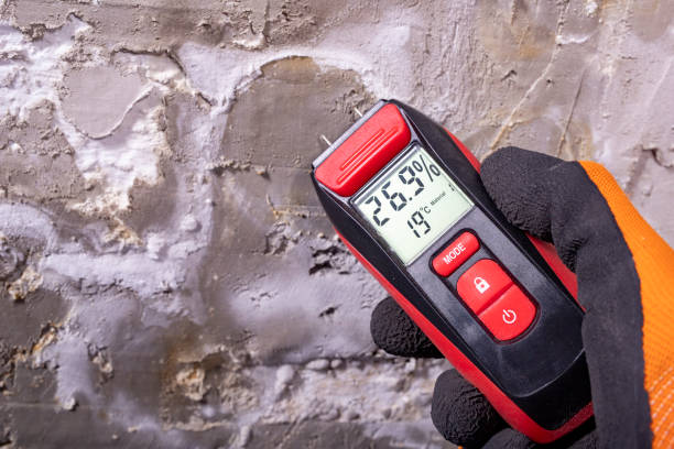 Best Mold Damage Repair  in Gerald, MO
