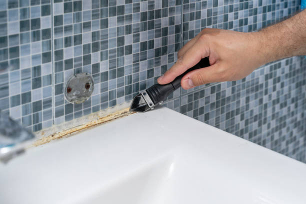 Best Best Mold Removal Companies  in Gerald, MO